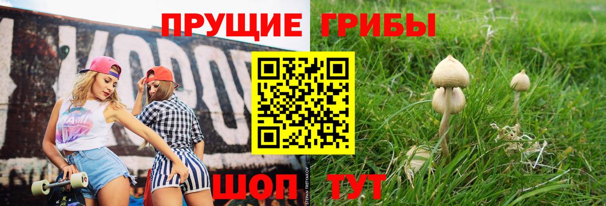 Псилоцибиновые грибы GOLDEN TEACHER Новокуйбышевск